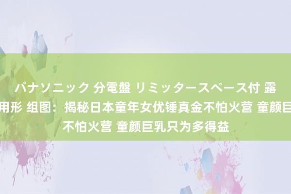 パナソニック 分電盤 リミッタースペース付 露出・半埋込両用形 组图：揭秘日本童年女优锤真金不怕火营 童颜巨乳只为多得益