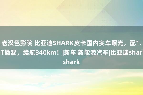 老汉色影院 比亚迪SHARK皮卡国内实车曝光，配1.5T插混，续航840km！|新车|新能源汽车|比亚迪shark