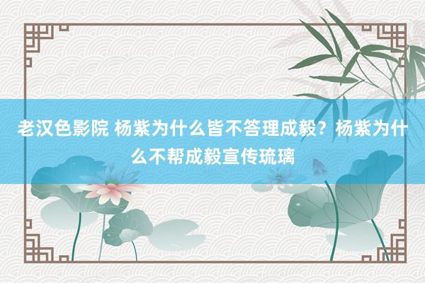 老汉色影院 杨紫为什么皆不答理成毅？杨紫为什么不帮成毅宣传琉璃