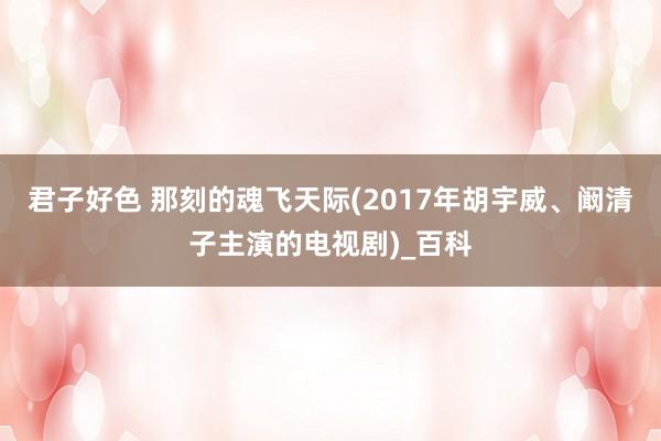 君子好色 那刻的魂飞天际(2017年胡宇威、阚清子主演的电视剧)_百科