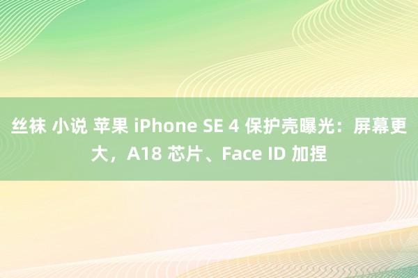 丝袜 小说 苹果 iPhone SE 4 保护壳曝光：屏幕更大，A18 芯片、Face ID 加捏