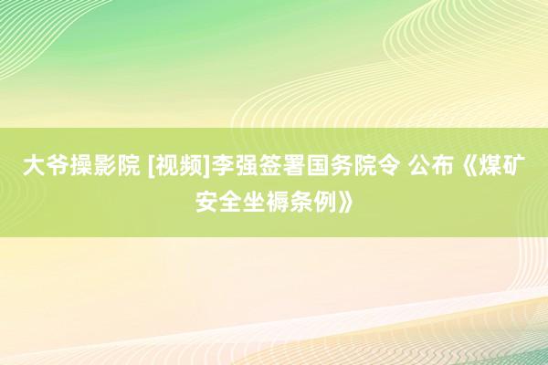 大爷操影院 [视频]李强签署国务院令 公布《煤矿安全坐褥条例》