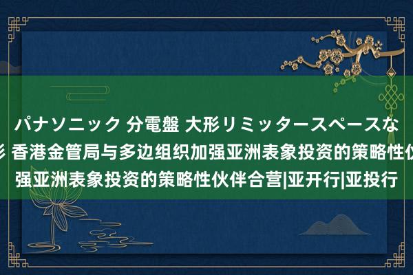 パナソニック 分電盤 大形リミッタースペースなし 露出・半埋込両用形 香港金管局与多边组织加强亚洲表象投资的策略性伙伴合营|亚开行|亚投行