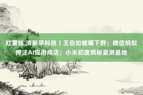 红薯妹 清新早科技丨王自如被曝下野；微信蚂蚁押注AI应用商店；小米初度揭秘夏测基地