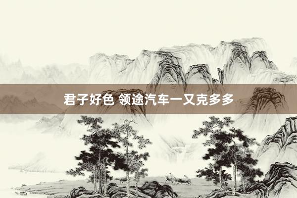 君子好色 领途汽车一又克多多